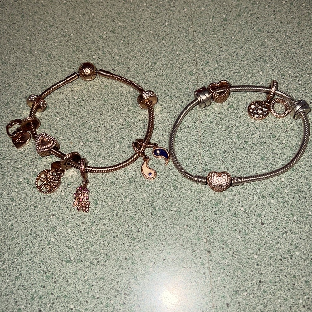 I’m selling my rose gold and my silver pandora Bracelet with charms